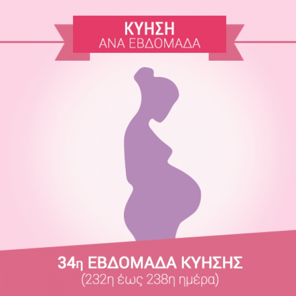 34η εβδομάδα εγκυμοσύνης (232η έως 238η ημέρα)