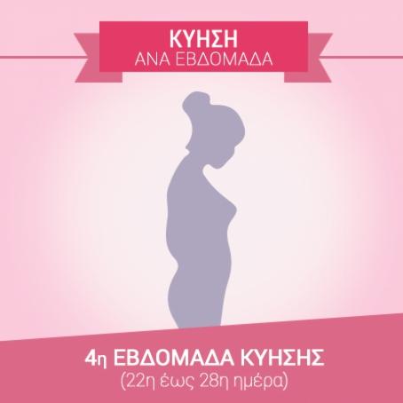 4η Εβδομάδα Εγκυμοσύνης (22η…