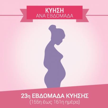 23η εβδομάδα εγκυμοσύνης (155η…