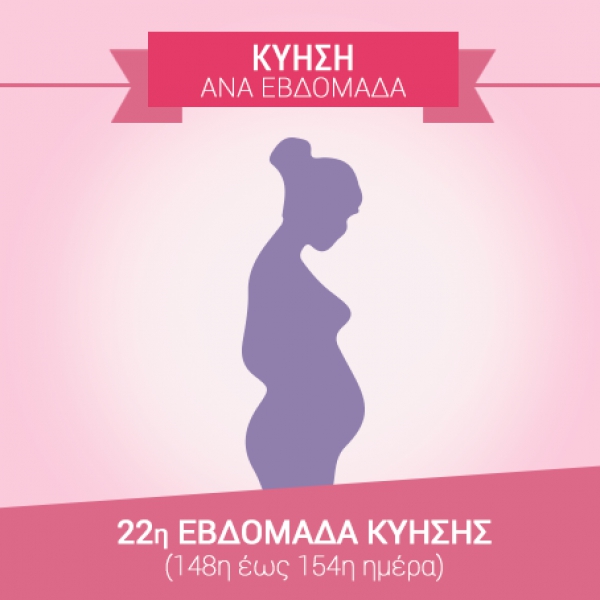 22η εβδομάδα εγκυμοσύνης (148η έως 154η ημέρα)